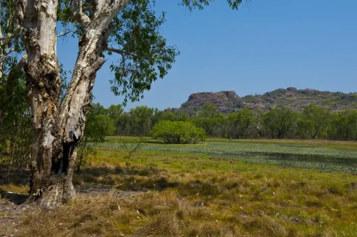 Framed Print : Kakadu National Park, UNESCO World Heritage Site, Northern Territory, Australia, Pacific