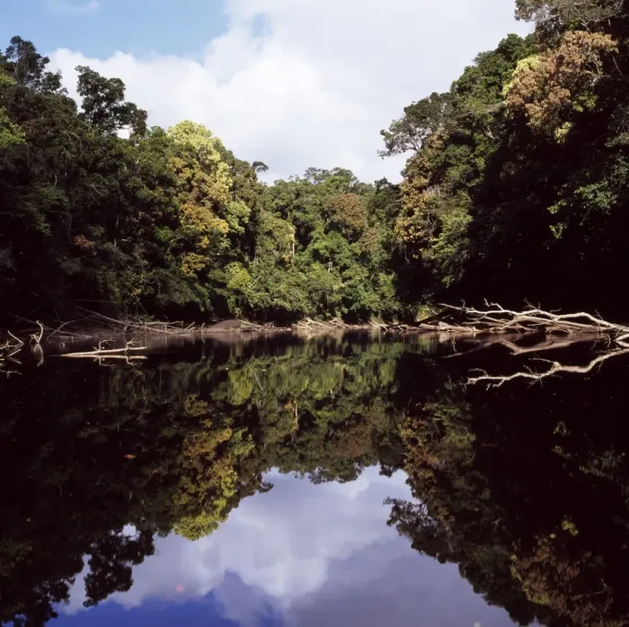 Framed Print : Kamarang River, Upper Mazaruni District, Guyana, South America Framed Print : Kamarang River, Upper Mazaruni District, Guyana, South America