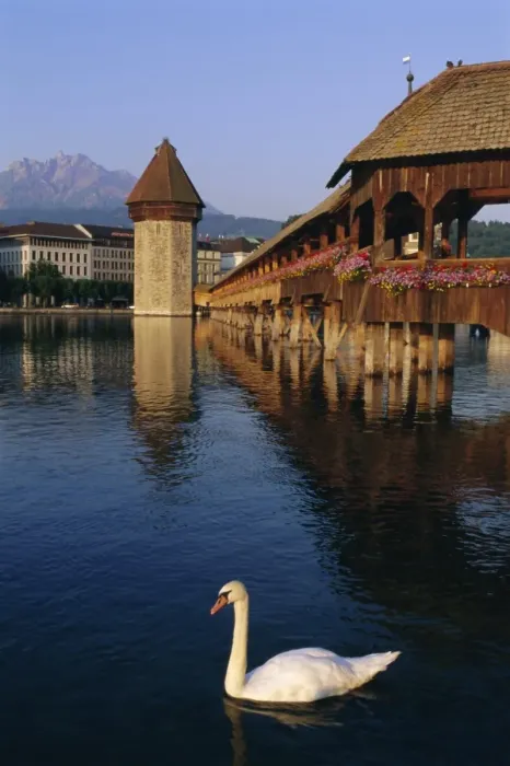 Framed Print : Kapellbrucke (covered wooden bridge) over the River Reuss