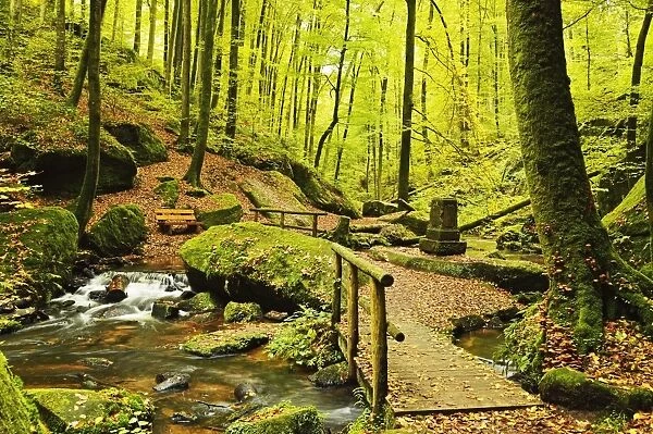 Karlstal gorge, near Trippstadt, Palatinate Forest, Rhineland-Palatinate, Germany, Europe