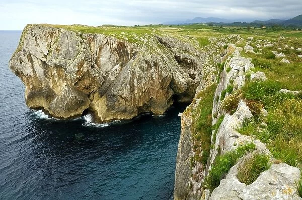 Karst limestone sea cliffs at Pria, with Picos de Europa mountains in the background, near Llanes, Asturias, Spain, Europe