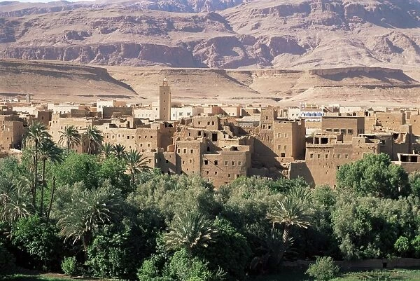 Kasbahs in the Draa Valley