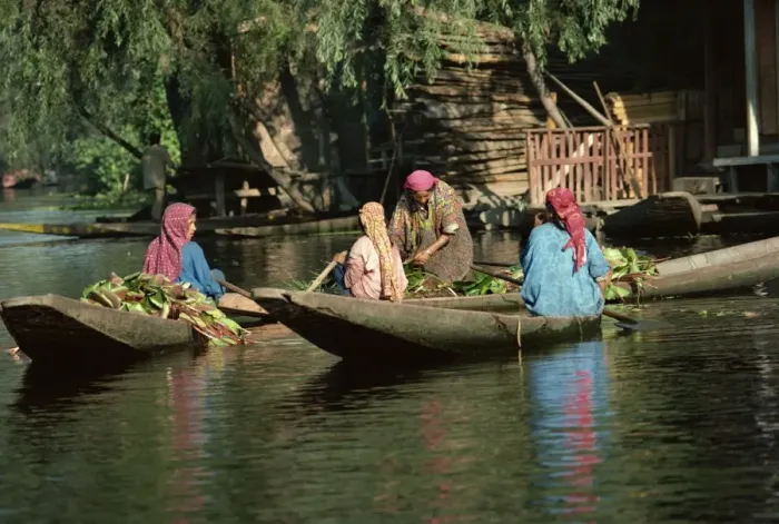 Framed Print : Kashmiri women, Dal Lake, Srinagar, Kashmir, India, Asia Framed Print : Kashmiri women, Dal Lake, Srinagar, Kashmir, India, Asia