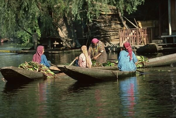 Kashmiri women, Dal Lake, Srinagar, Kashmir, India, Asia