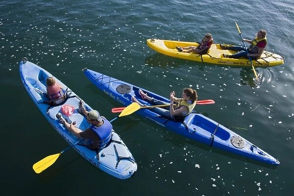 Kayak rental, Embarcadero, City of Morro Bay, San Luis Obispo County, California