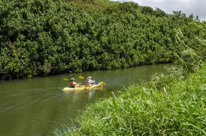 Framed Print : Kayaking on the Wailua River, Kauai, Hawaii, United States of America, Pacific Framed Print : Kayaking on the Wailua River, Kauai, Hawaii, United States of America, Pacific