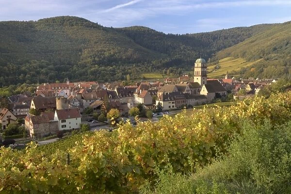 Kaysersberg from the vineyards, Haut Rhin, Alsace, France, Europe
