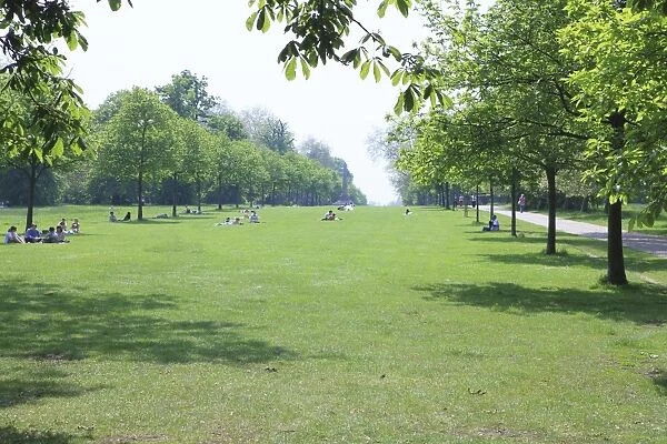 Kensington Gardens, London, England, United Kingdom, Europe