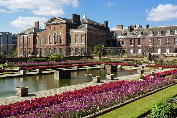 Kensington Palace gardens with tulips, Kensington Gardens, London, England, United Kingdom, Europe