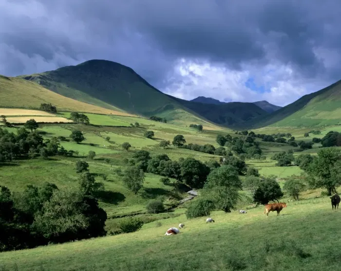 Framed Print : Keskadale and Derwent Fells near Keswick, Lake District National Park, Cumbria Framed Print : Keskadale and Derwent Fells near Keswick, Lake District National Park, Cumbria