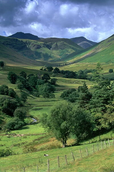 Keskadale and Derwent Fells near Keswick, Lake District National Park, Cumbria