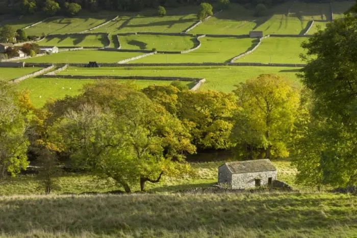 Framed Print : Kettlewell village field sysyem, out barns and dry stone walls, in Wharfedale, The Yorkshire Dales Framed Print : Kettlewell village field sysyem, out barns and dry stone walls, in Wharfedale, The Yorkshire Dales