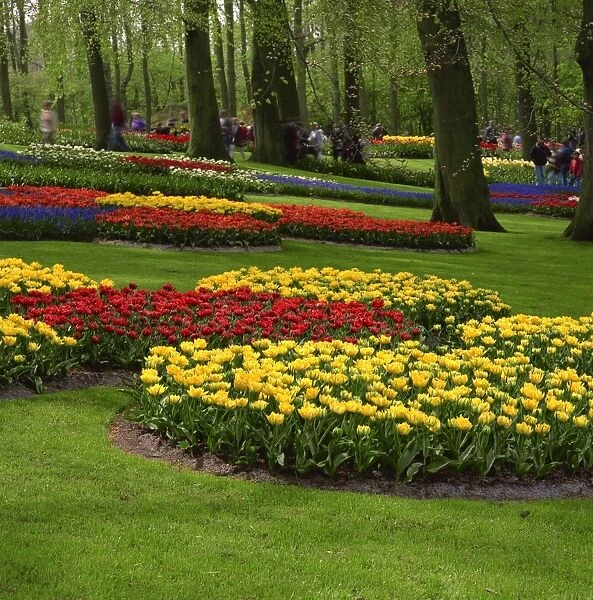 Keukenhof Gardens near Amsterdam, Holland, Europe