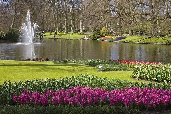 Keukenhof, park and gardens near Amsterdam, Netherlands, Europe