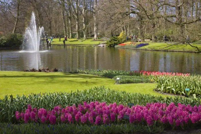 Framed Print : Keukenhof, park and gardens near Amsterdam, Netherlands, Europe Framed Print : Keukenhof, park and gardens near Amsterdam, Netherlands, Europe