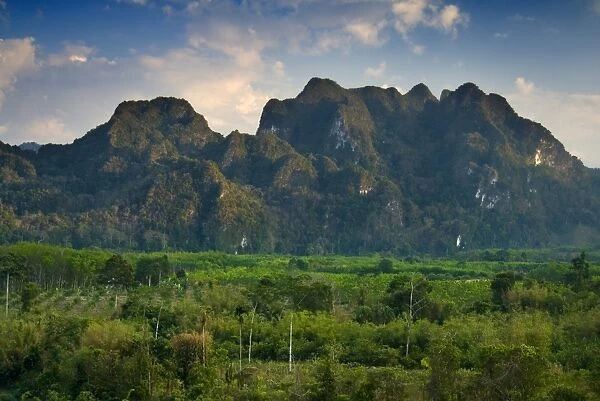 Khao Sok National Park, Surat Thani Province, Thailand, Southeast Asia, Asia