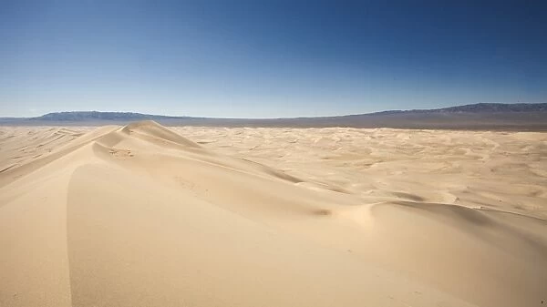 Khongoryn Els Sand dunes in the Gobi Gurvansaikhan National Park in Mongolia, Central Asia