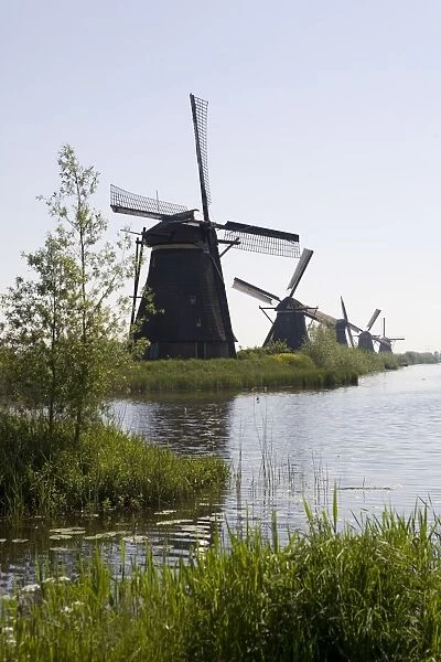 Kinderdijk windmills, UNESCO World Heritage Site, Holland, Europe