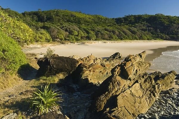 Kings Beach, Broken Head National Reserve, Byron Bay, New South Wales, Australia, Pacific