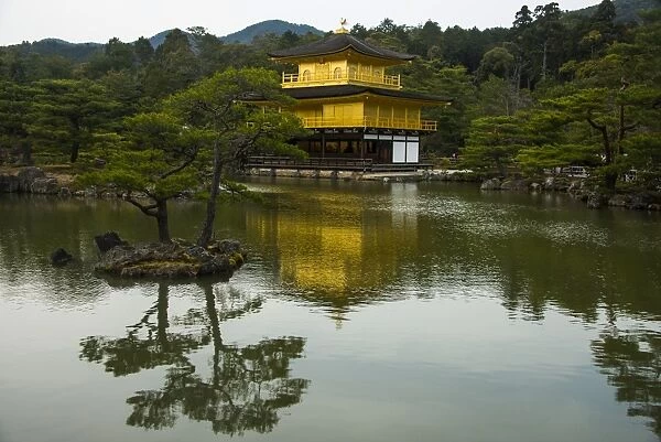 Kinkaku-Ji (Golden Pavilion) Buddhist Temple, UNESCO World Heritage Site, Kyoto, Japan, Asia