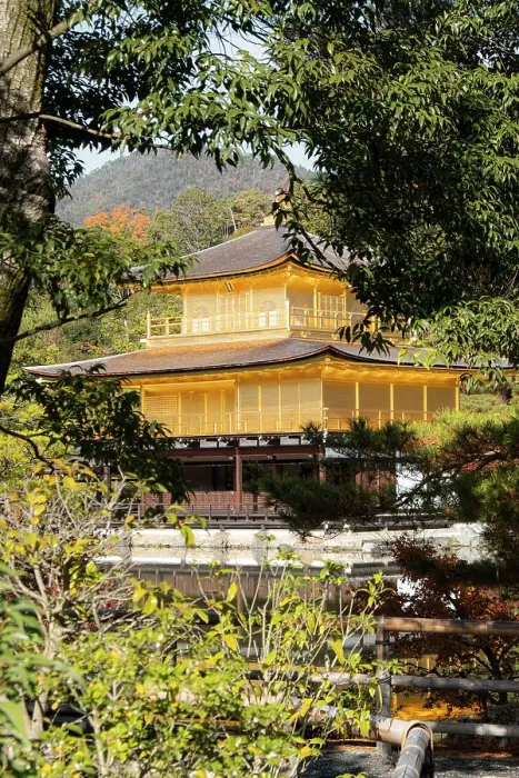 Framed Print : Kinkaku-ji Golden Pavilion Temple framed by trees, UNESCO World Heritage Site, Kyoto, Honshu, Japan, Asia Framed Print : Kinkaku-ji Golden Pavilion Temple framed by trees, UNESCO World Heritage Site, Kyoto, Honshu, Japan, Asia