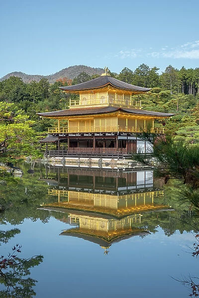 Kinkaku-ji Golden Pavilion Temple reflected in a pond in autumn, UNESCO World Heritage Site, Kyoto, Honshu, Japan, Asia