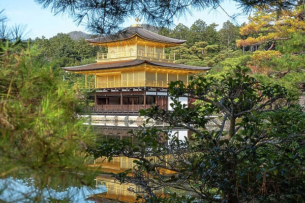 Kinkaku-ji temple of the Golden Pavilion, framed by the trees, UNESCO World Heritage Site, Kyoto, Honshu, Japan, Asia