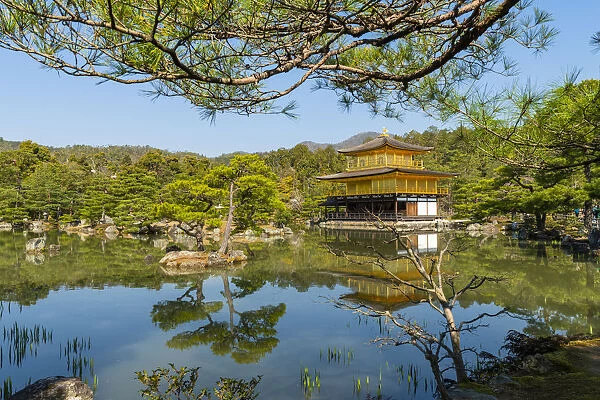 Kinkaku-ji temple, UNESCO World Heritage Site, Kyoto, Japan, Asia