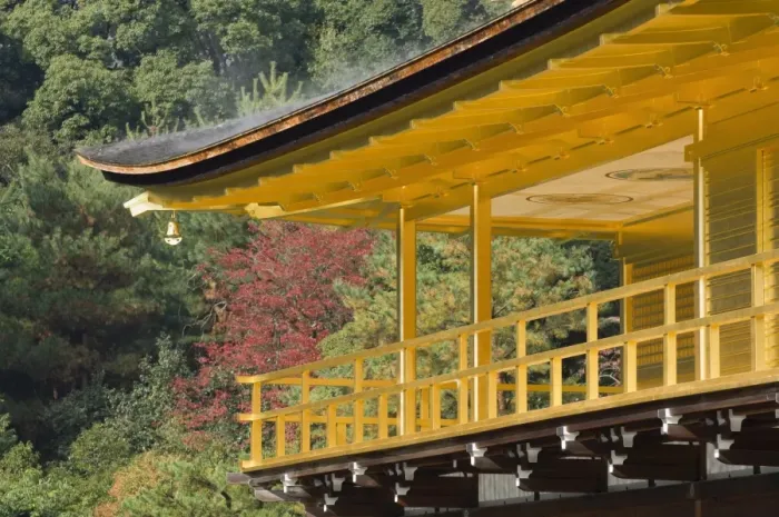 Framed Print : Kinkakuji Temple (Golden Pavilion) Framed Print : Kinkakuji Temple (Golden Pavilion)