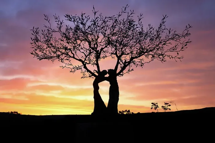 Framed Print : Kissing Tree at sunrise, Matera, Basilicata, Italy, Europe Framed Print : Kissing Tree at sunrise, Matera, Basilicata, Italy, Europe
