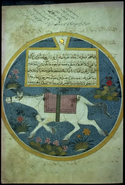 Framed Print : Kitab Az Zadaqah Ma Rifat Framed Print : Kitab Az Zadaqah Ma Rifat