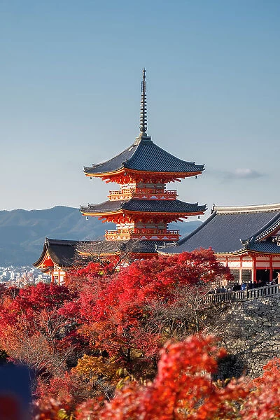 Kiyomizu-dera Buddhist temple and Sanjunoto three Story Pagoda with autumn color, Kyoto, UNESCO World Heritage Site, Honshu, Japan, Asia