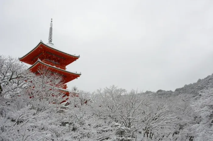Framed Print : Kiyomizu-dera Temples pagoda hiding behind snow-covered trees, UNESCO World Heritage Site Framed Print : Kiyomizu-dera Temples pagoda hiding behind snow-covered trees, UNESCO World Heritage Site