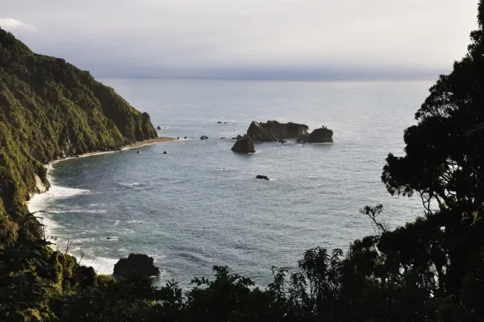 Framed Print : Knights Point, West Coast, South Island, New Zealand, Pacific