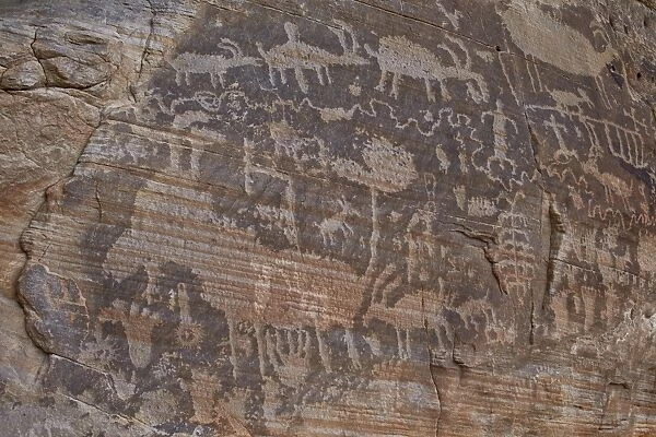 Part of the Kohta Circus petroglyph panel, Gold Butte, Nevada, United States of America, North America