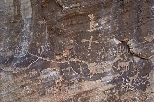 Part of the Kohta Circus petroglyph panel showing an elk or deer, Gold Butte, Nevada, United States of America, North America