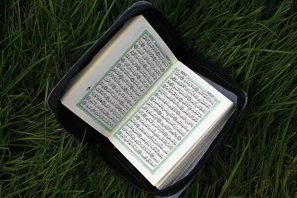 Koran, Le Souillard, Eure, France, Europe