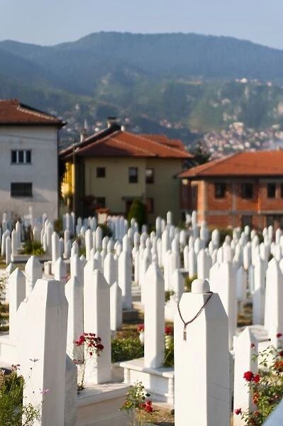 Kovaci War Cemetery, Sarajevo, Bosnia and Herzegovina, Europe