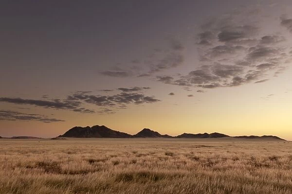 Kulala Wilderness Reserve, Namib Desert, Namibia, Africa