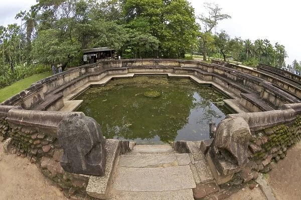 Kumara Pokuna, Royal Pond of King Parakramabahu, UNESCO World Heritage Site, Polunnaruwa, Sri Lanka