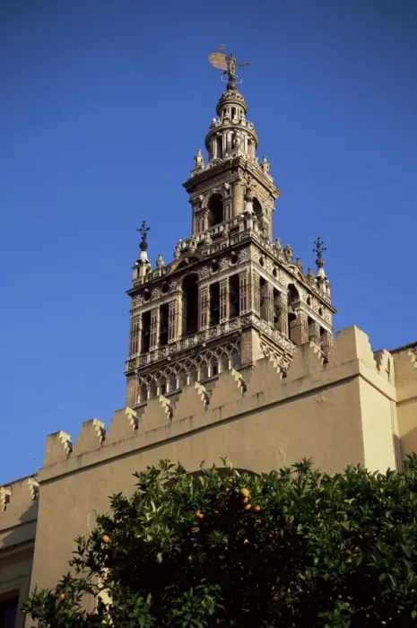 Framed Print : La Giralda and orange trees Framed Print : La Giralda and orange trees