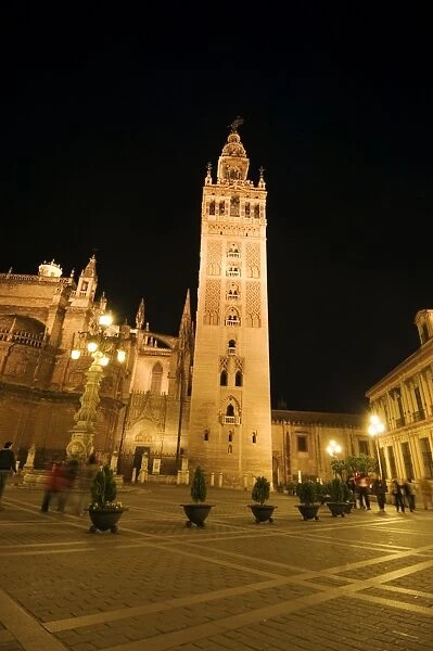 La Giralda and Seville Cathedral at night