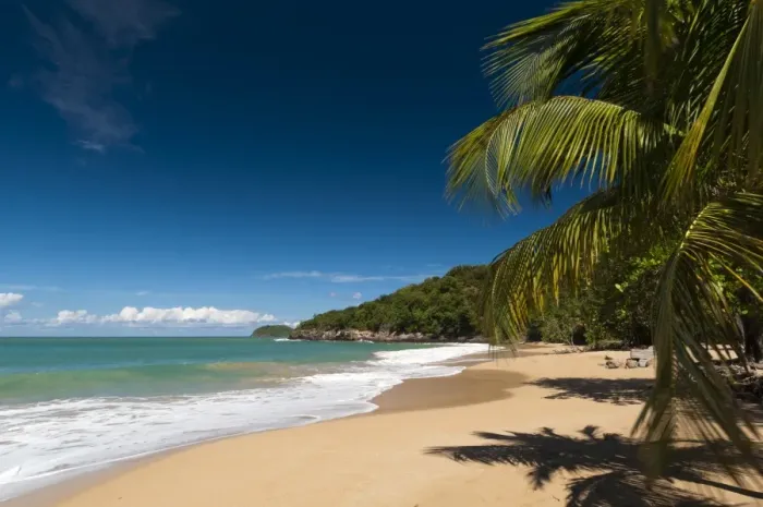 Framed Print : La Perle Beach, Deshaies, Basse-Terre, Guadeloupe, French Caribbean, France, West Indies, Central America Framed Print : La Perle Beach, Deshaies, Basse-Terre, Guadeloupe, French Caribbean, France, West Indies, Central America
