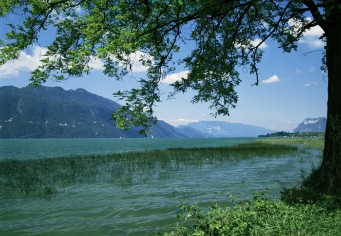 Framed Print : Lac du Bourget, near Aix les Bains, Savoie, Rhone Alpes, France, Europe Framed Print : Lac du Bourget, near Aix les Bains, Savoie, Rhone Alpes, France, Europe