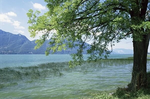 Lac du Bourget, near Aix les Bains, Rhone Alpes, France, Europe