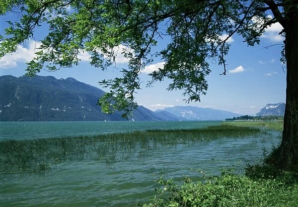 Lac du Bourget, near Aix les Bains, Savoie, Rhone Alpes, France, Europe