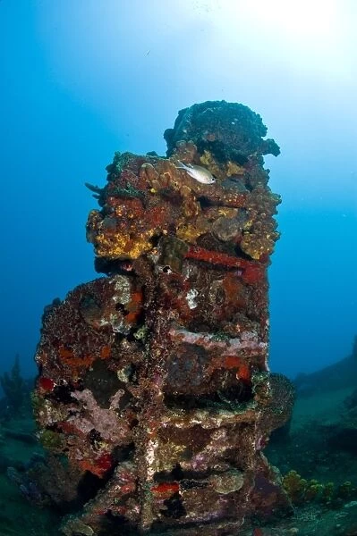 Ladder on the wreck of the Lesleen M freighter, sunk as an artificial reef in 1985 in Anse Cochon Bay, St. Lucia, West Indies, Caribbean, Central America