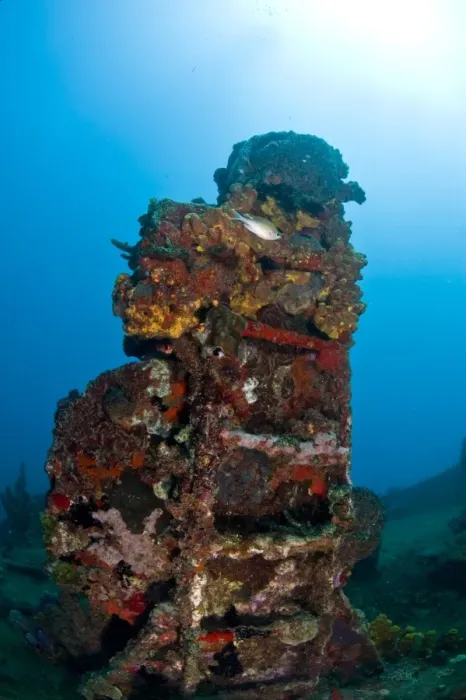 Framed Print : Ladder on the wreck of the Lesleen M freighter, sunk as an artificial reef in 1985 in Anse Cochon Bay, St. Lucia, West Indies, Caribbean, Central America Framed Print : Ladder on the wreck of the Lesleen M freighter, sunk as an artificial reef in 1985 in Anse Cochon Bay, St. Lucia, West Indies, Caribbean, Central America