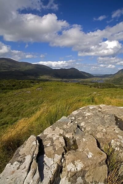 Ladies View, Killarney National Park, County Kerry, Munster, Republic of Ireland, Europe