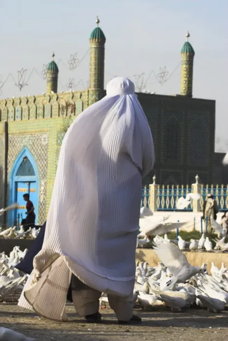 Framed Print : Lady in burqa feeding the famous white pigeons at the shrine of Hazrat Ali Framed Print : Lady in burqa feeding the famous white pigeons at the shrine of Hazrat Ali